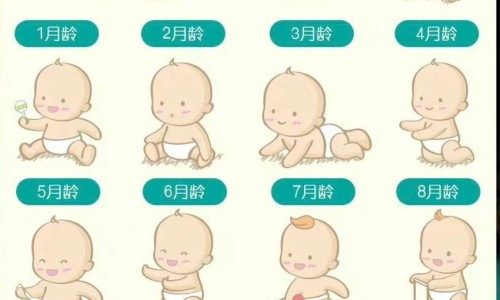 出生婴儿性别比2024专区_出生婴儿性别比为110.1专区_出生婴儿性别比网